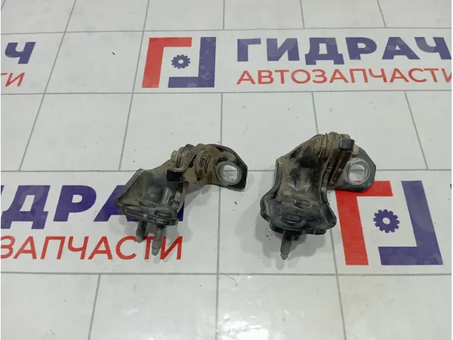 Петли двери задней правой Ford Kuga