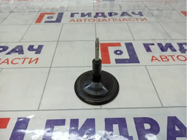 Крепление (болт) запасного колеса Ford Kuga 1685451