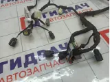 Проводка (коса) Ford Kuga GV4T14A583RBD