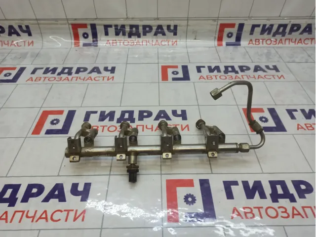 Топливная рампа (топливная рейка) Ford Kuga 2070844