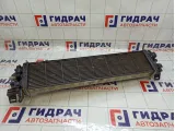 Интеркулер Ford Kuga 1862383