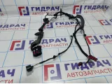 Проводка двери задней левой Ford Kuga GV4T14241