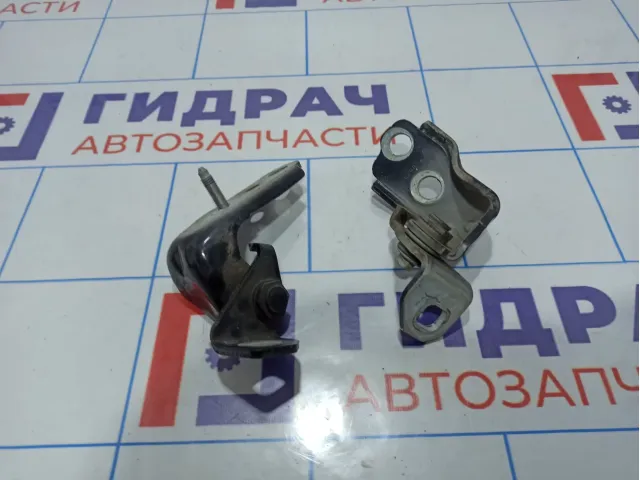 Петли двери передней правой Ford Kuga