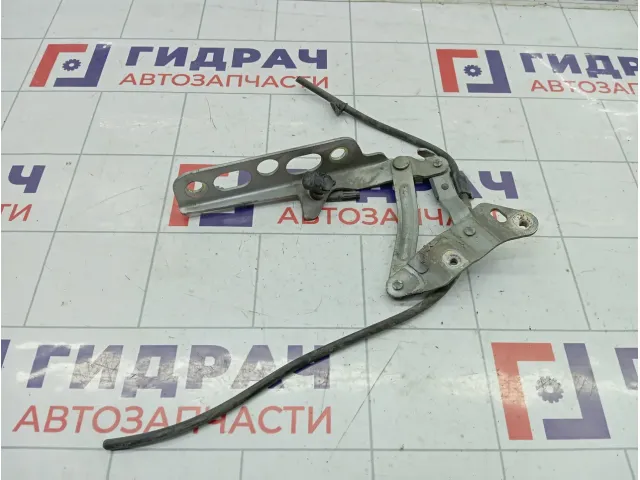 Петля капота правая Ford Mondeo 1131282