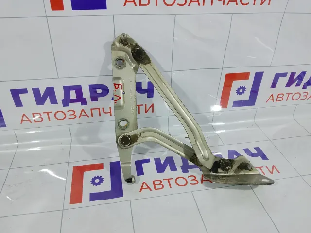 Петля багажника левая Ford Mondeo 1197875