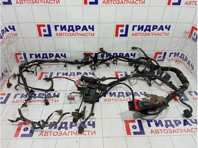 Проводка двигателя Ford Mondeo BG9T12A690SCD