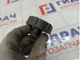 Крышка бачка расширительного Ford Mondeo 1301104