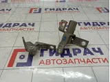 Петли двери передней правой Ford Mondeo