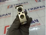 Клапан кондиционера Ford Mondeo 1675329