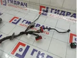 Проводка двери задней левой Ford Mondeo BG9T14A584BBC