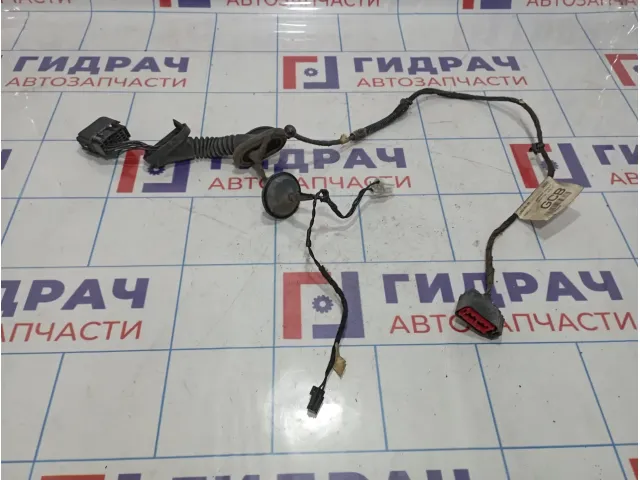 Проводка двери задней левой Ford Mondeo (BD) BG9T-14240GCB