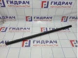 Уплотнитель стекла двери передннего левого Ford Mondeo (BD) 1486610