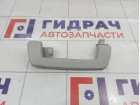 Ручка внутренняя потолочная Ford Mondeo 3 (B4Y) 1253023