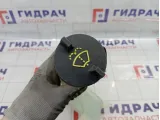 Бачок омывателя лобового стекла Ford Mondeo 3 (B4Y) 1307948