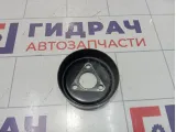 Шкив водяного насоса Ford Mondeo 3 (B4Y) 5067340