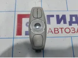 Плафон салонный Ford Mondeo 4 (BD) 2044645