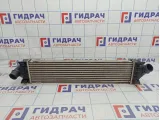 Интеркулер Ford Mondeo 4 (BD) 1742060