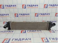 Интеркулер Ford Mondeo 4 (BD) 1742060