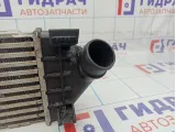 Интеркулер Ford Mondeo 4 (BD) 1742060