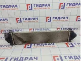 Интеркулер Ford Mondeo 4 (BD) 1742060