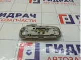 Плафон салонный Ford S-MAX 1540351