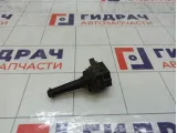 Катушка зажигания Ford S-MAX 1371601