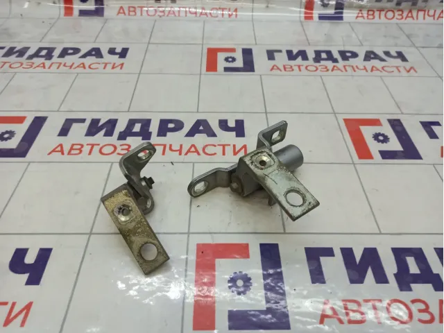 Петли двери Ford S-MAX