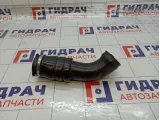 Патрубок воздушного фильтра Ford S-MAX 08692401