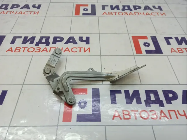 Петля капота правая Ford S-MAX 1573930