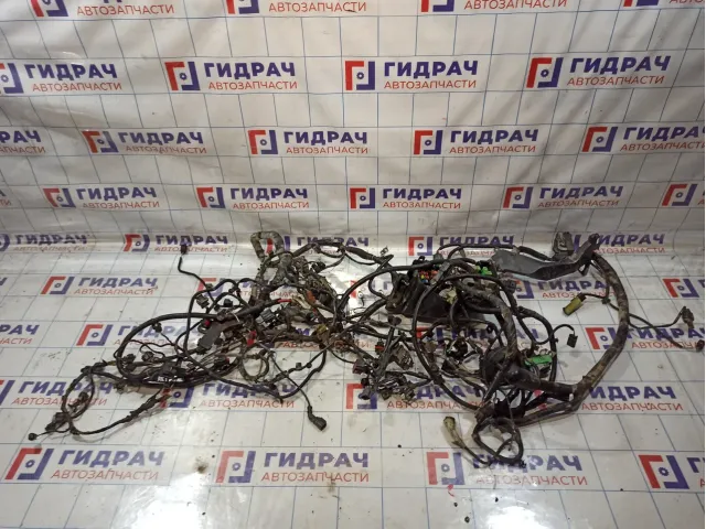 Проводка подкапотная Ford S-MAX 1439489