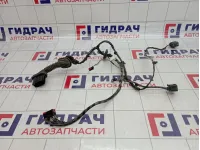 Проводка двери задней левой Ford S-MAX 1541888