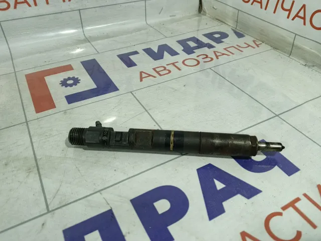 Форсунка дизельная Ford Tourneo 1213938