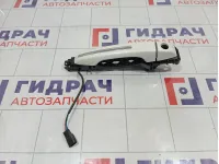 Ручка двери наружная передняя левая GAC GS8 5615004APNZ100A27