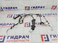 Проводка двери задней левой GAC GS8 8360001CAD1900