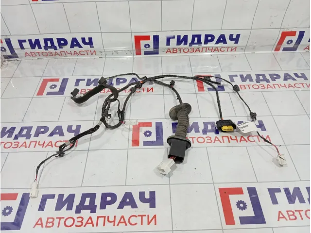 Проводка двери задней левой GAC GS8 8360001CAD1900