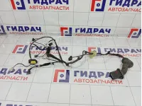 Проводка двери задней правой GAC GS8 8365001CAD1900