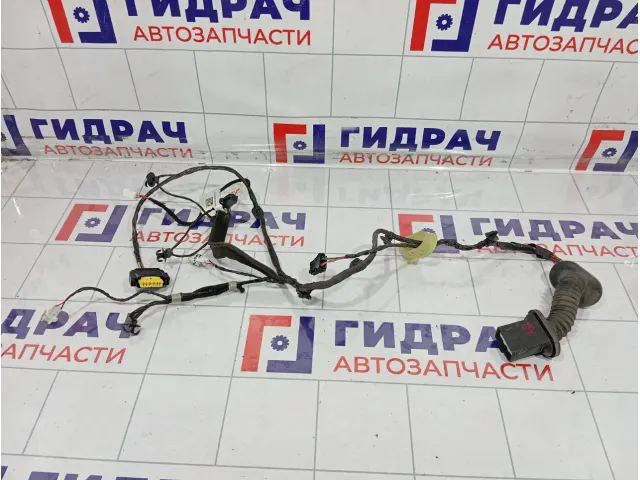 Проводка двери задней правой GAC GS8 8365001CAD1900