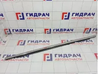 Накладка стекла заднего правого GAC GS8 5410012CAD0200L2Z