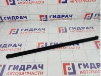 Уплотнитель стекла переднего левого GAC GS8 6205061CAD0000