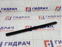 Уплотнитель стекла заднего левого GAC GS8 6207061CAD0000
