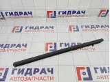 Уплотнитель стекла заднего левого GAC GS8 6207061CAD0000