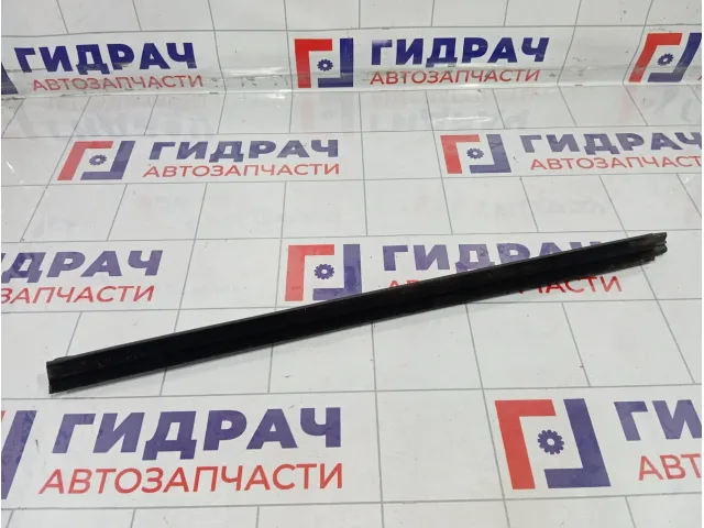 Уплотнитель стекла заднего правого GAC GS8 6208061CAD0000