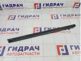 Уплотнитель стекла заднего правого GAC GS8 6208061CAD0000