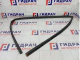 Уплотнитель стекла переднего левого GAC GS8