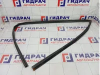 Уплотнитель стекла переднего левого GAC GS8