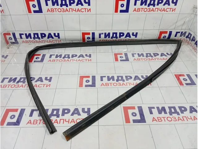 Уплотнитель стекла переднего левого GAC GS8