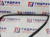 Уплотнитель стекла переднего левого GAC GS8