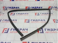 Уплотнитель стекла переднего правого GAC GS8