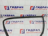 Уплотнитель стекла переднего правого GAC GS8