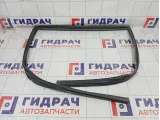 Уплотнитель стекла заднего левого GAC GS8